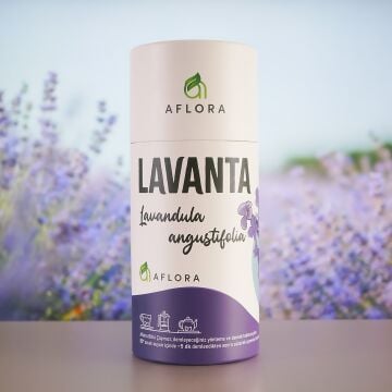 Lavanta ( Lavandula Angustifolia ) 50 gr