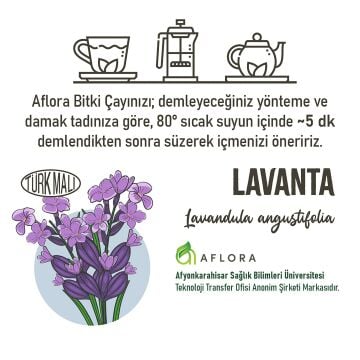 Lavanta ( Lavandula Angustifolia ) 50 gr