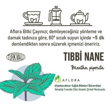 Tıbbi Nane ( Mentha Piperita ) 40 gr