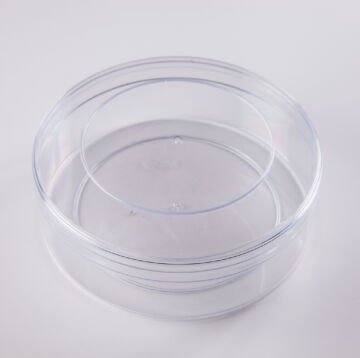 POPPY PLASTİK KRİSTAL BAL KABI KAPAKLI