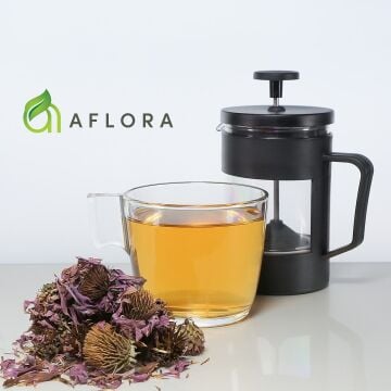Ekinezya ( Echinacea Purpurea ) 40 gr