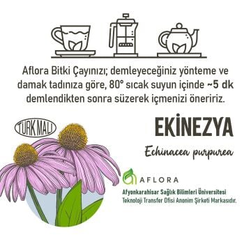 Ekinezya ( Echinacea Purpurea ) 40 gr