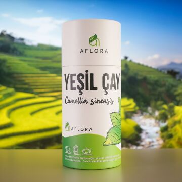 Yeşil Çay ( Camellia Sinensis ) 40 gr
