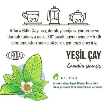 Yeşil Çay ( Camellia Sinensis ) 40 gr